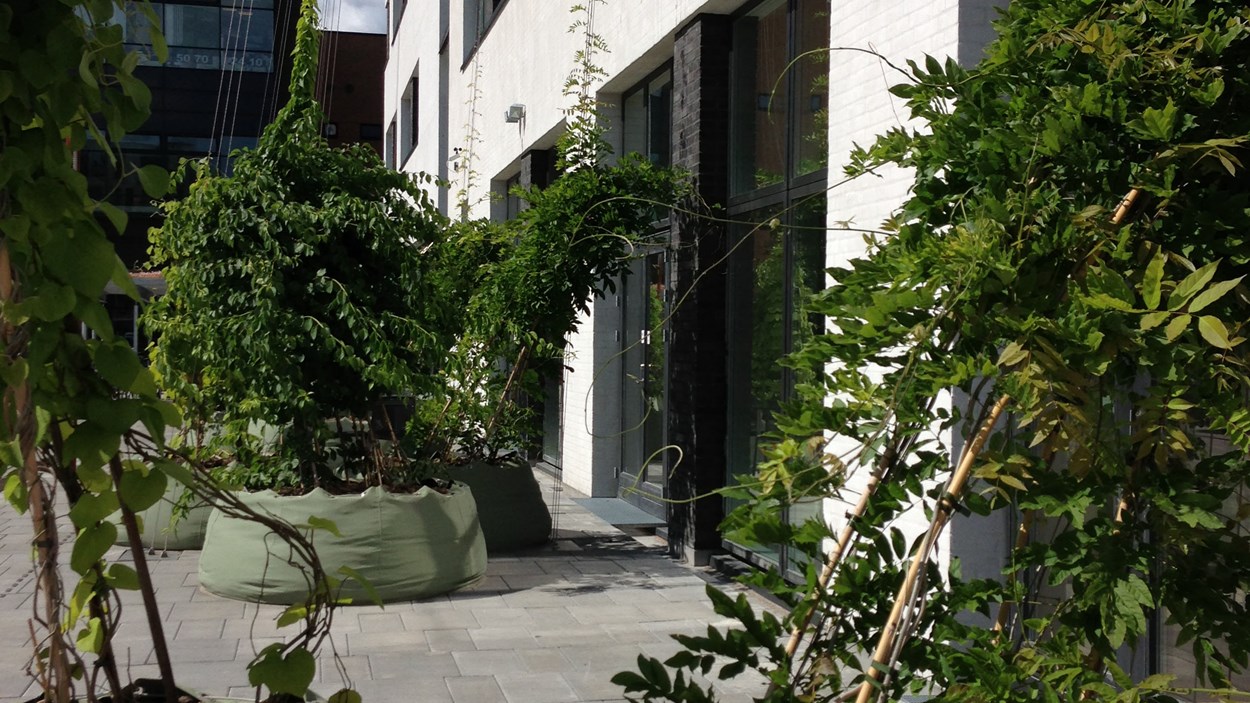 grøn-beplantning-foran-kontorhus-udviklet-af-skanska-i-københavn