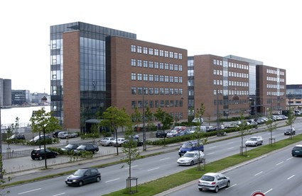 Kalv43_1